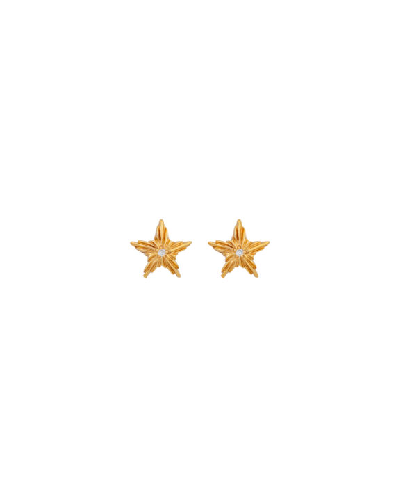 Brincos Sparkle Star